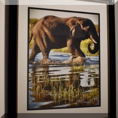 A15a. Framed elephant photo. 20”x16” - $25 each